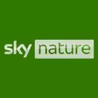 Sky Nature